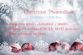 Christmas Promotion